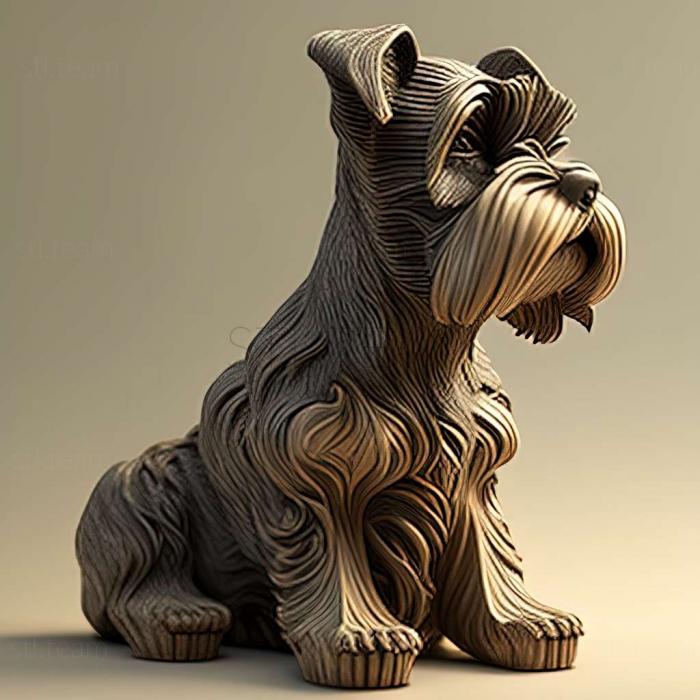 Zwergschnauzer dog